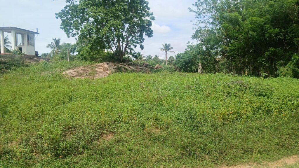 Land Image 3