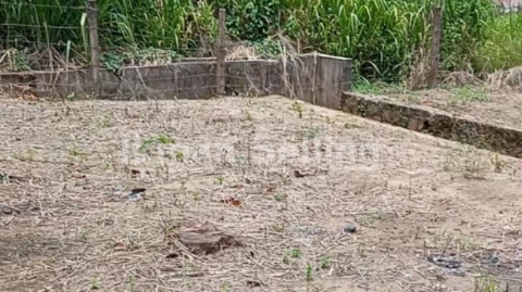 Land Image 2