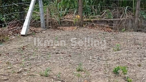 Land Image 3