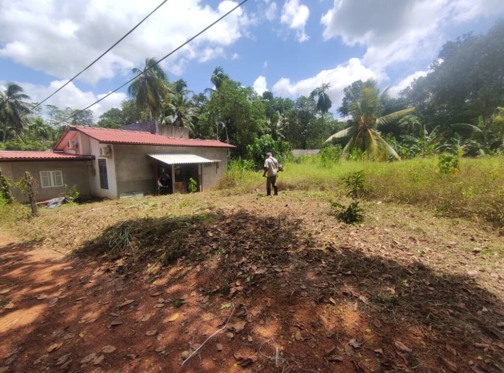 Land Image 2