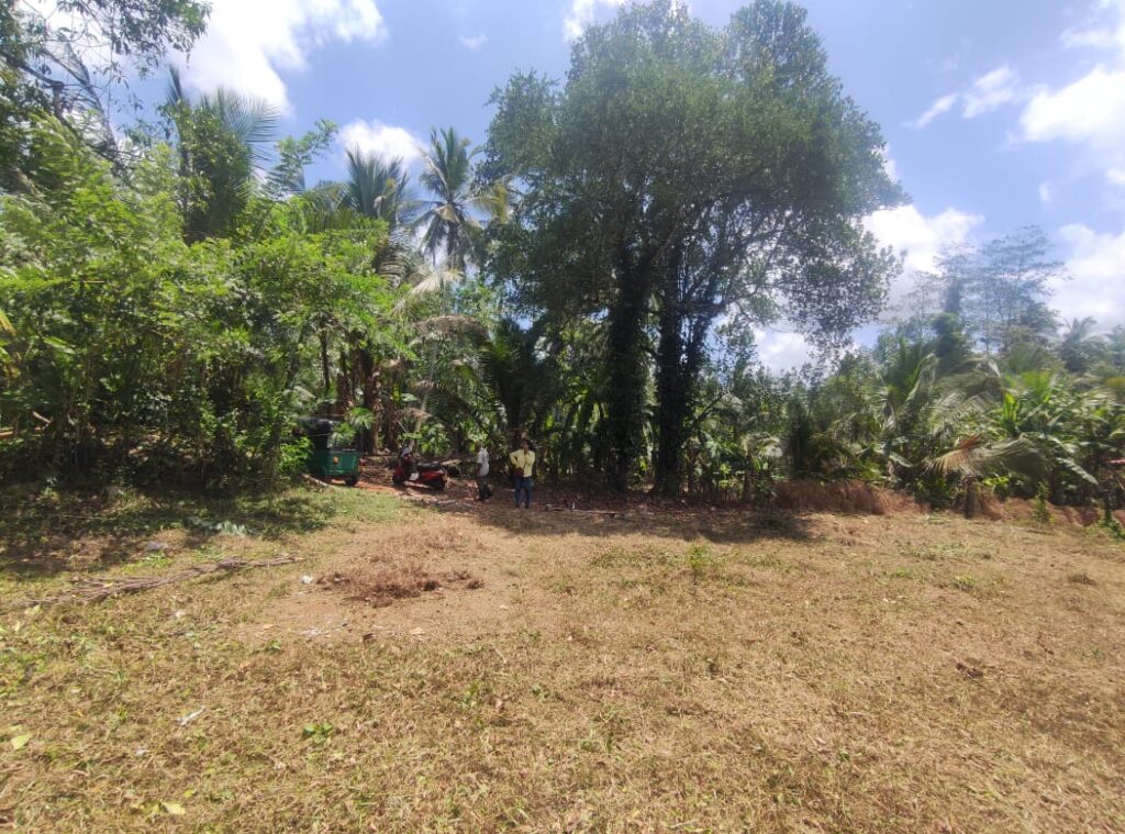 Land Image 3