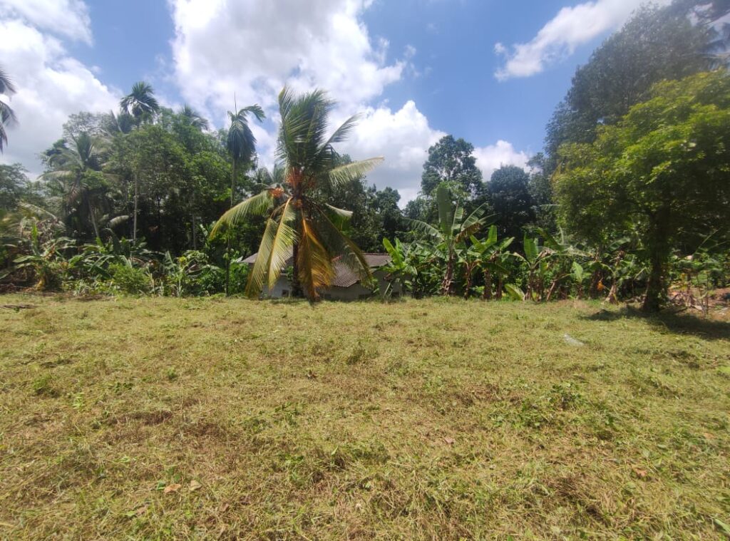 Land Image 4