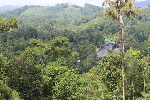 Land Image 2