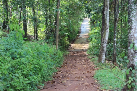 Land Image 3
