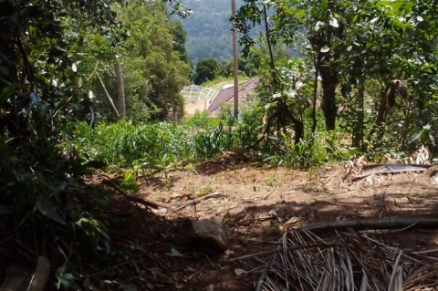 Land Image 3
