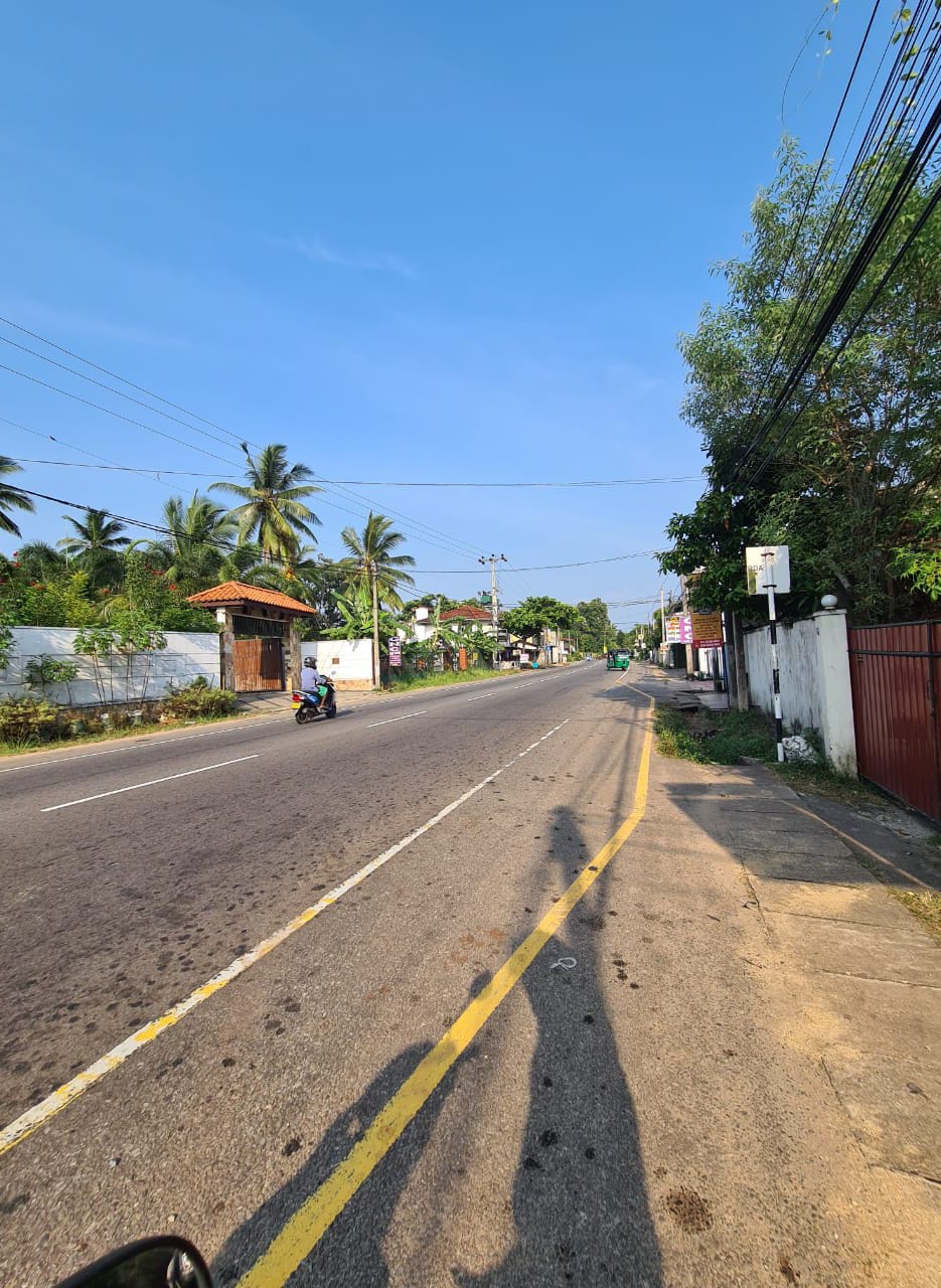 Land Image 2