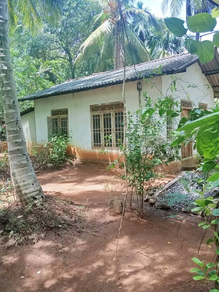 House Sale In Udawalawa
