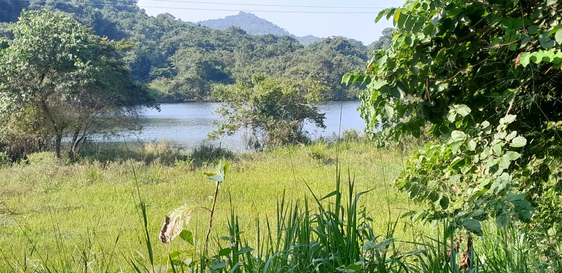 Land Image 3