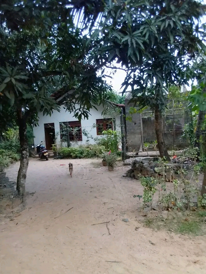House Sale In Loluwagoda