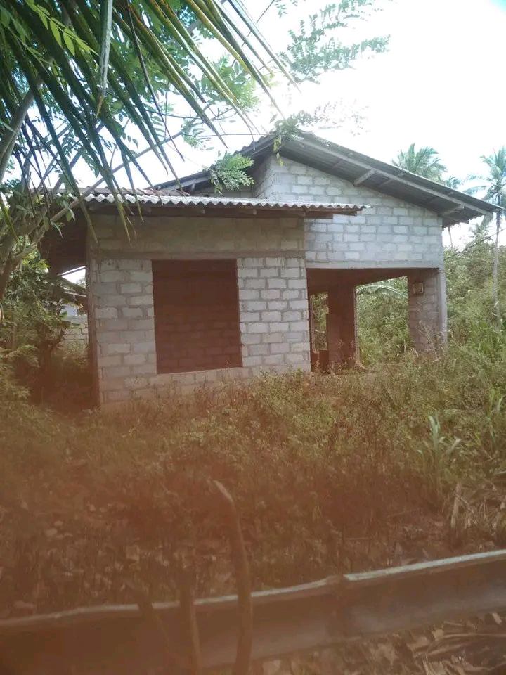House Sale In Beliaththa