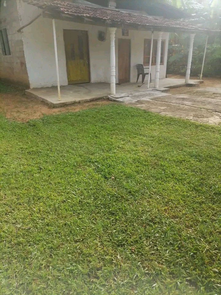 House Sale In Giriulla