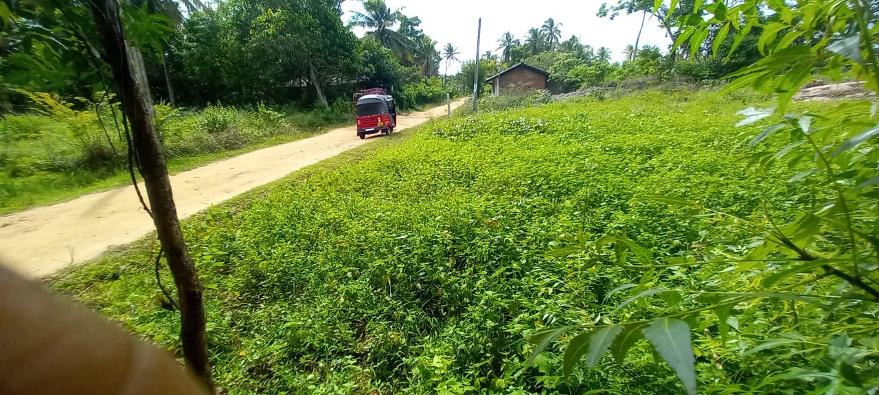 Land Sale In Narammala