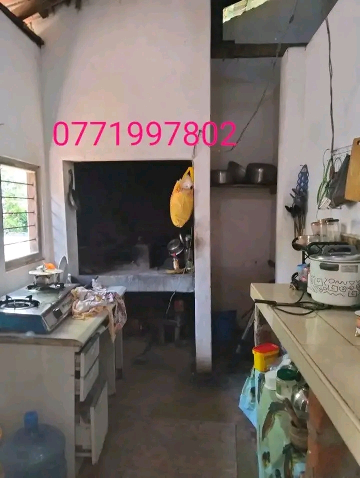 House Image 3