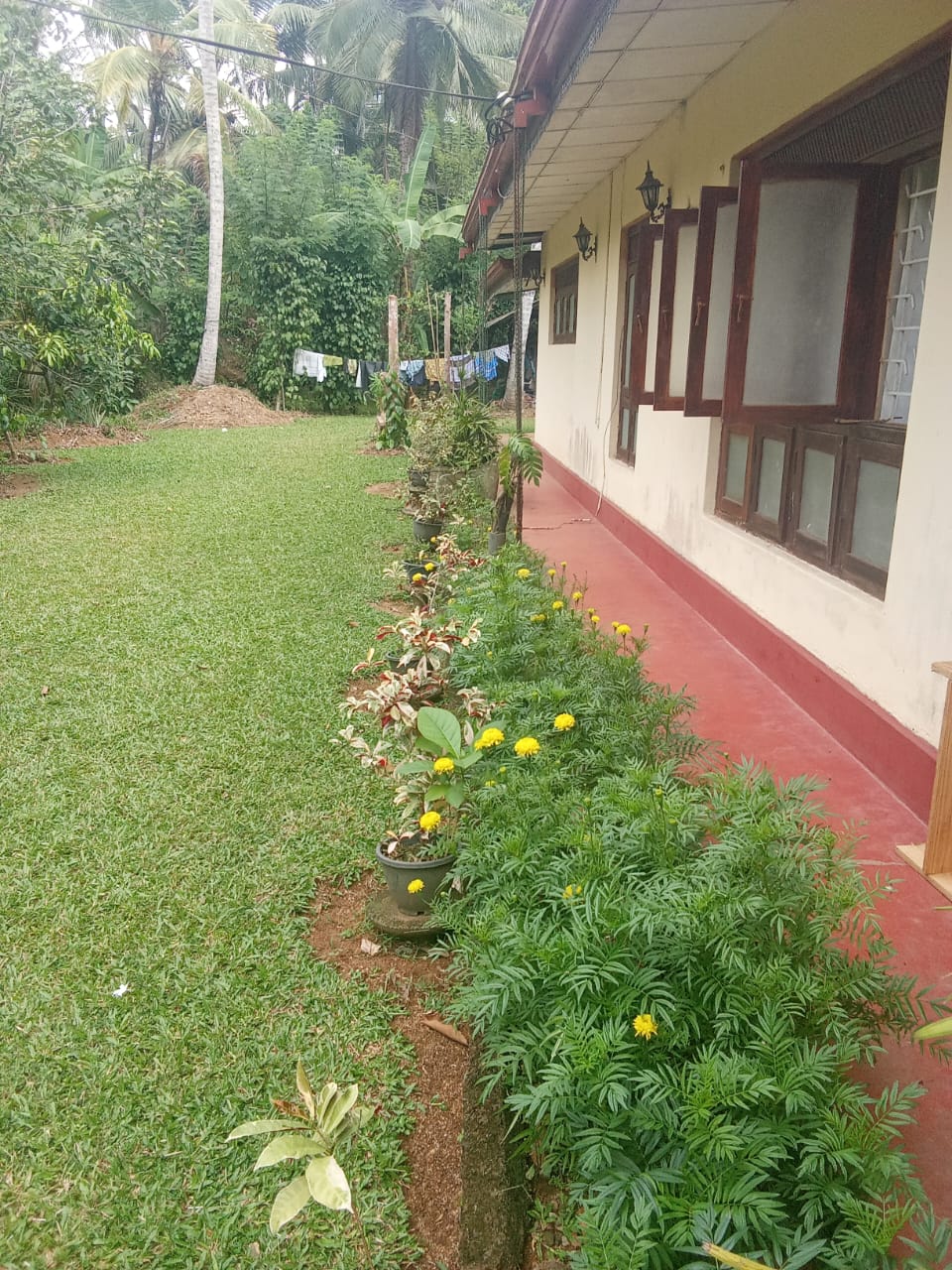 House Sale In Pallebadda