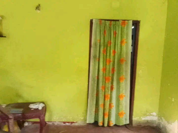 Land Image 3
