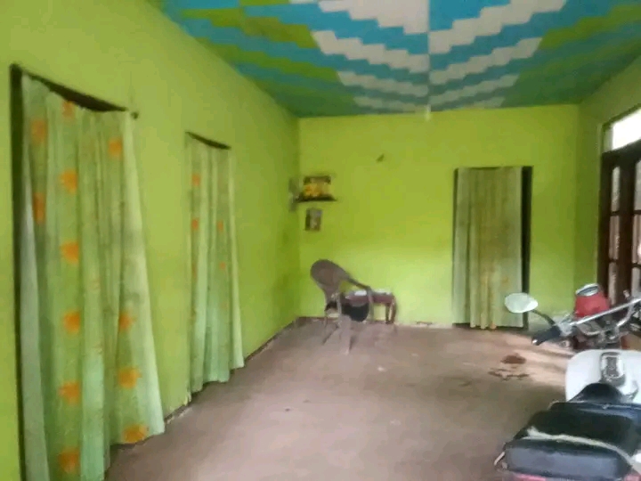 Land Image 4