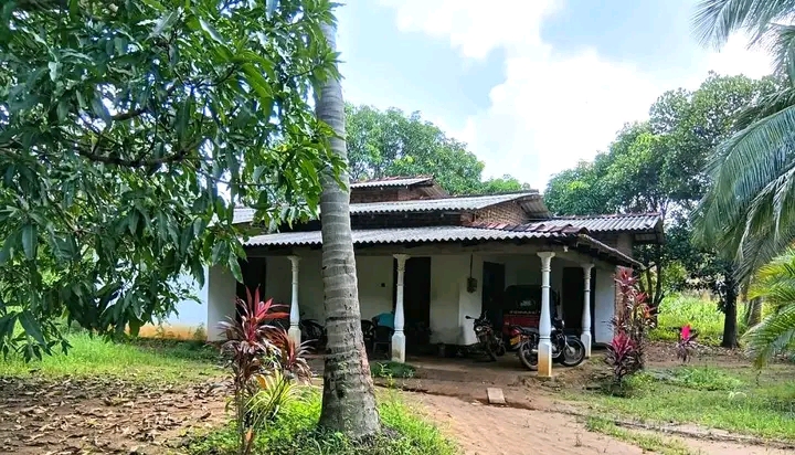 Anuradhapura , Kahatagasdigiliya