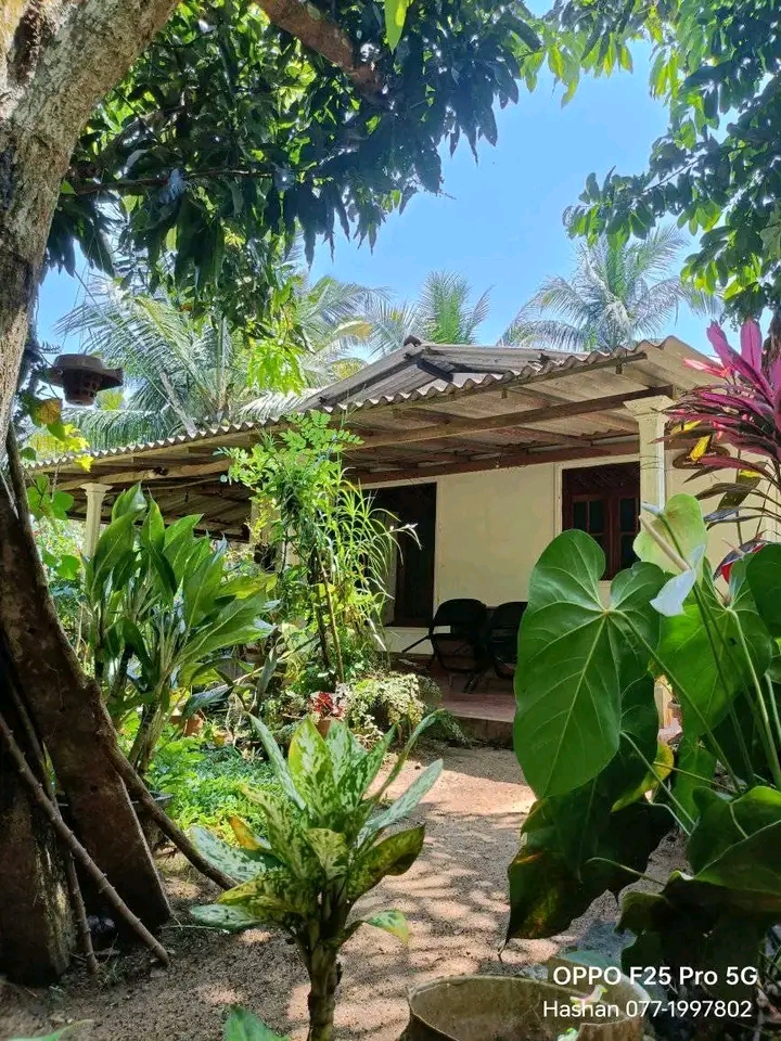 House Sale in Polgahawela