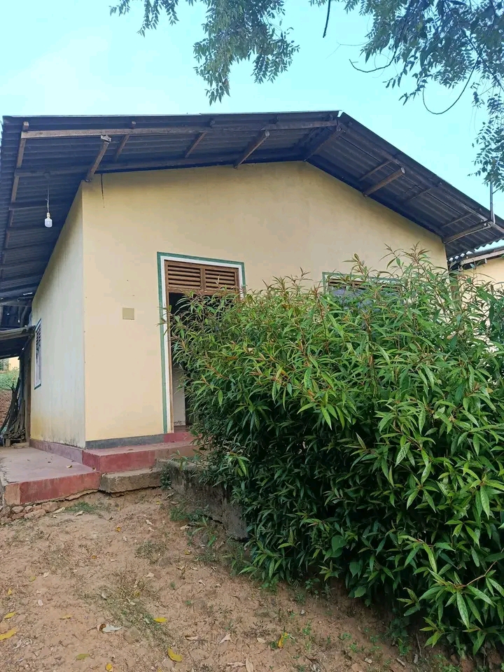 House Sale in Middeniya
