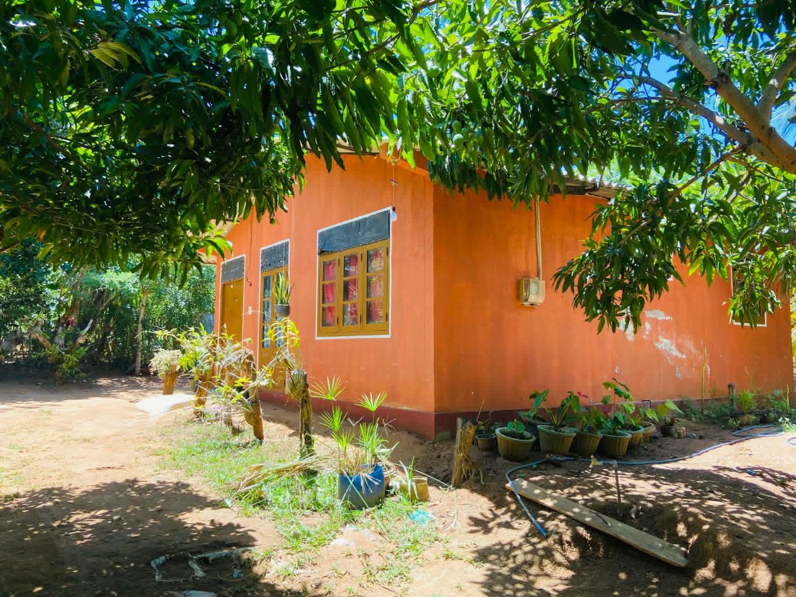 House Sale in Hungama