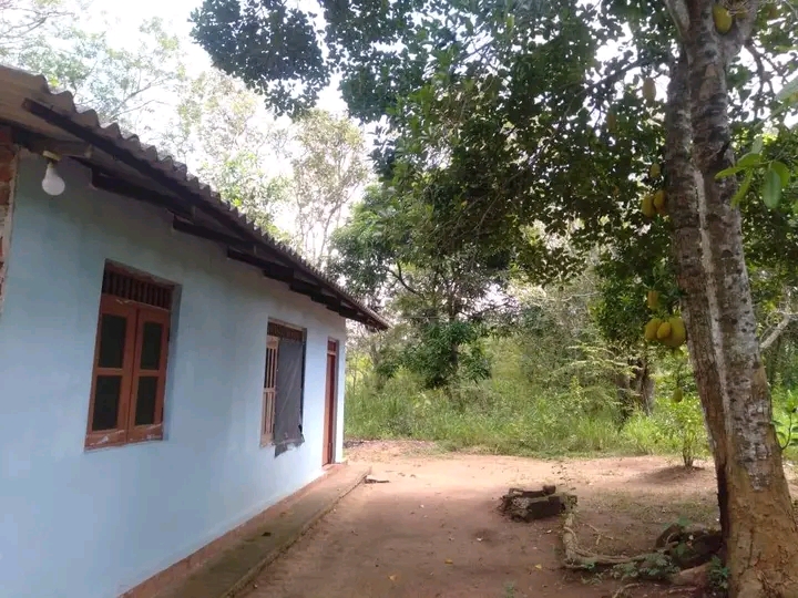 Anueadhapura Puththalama Road