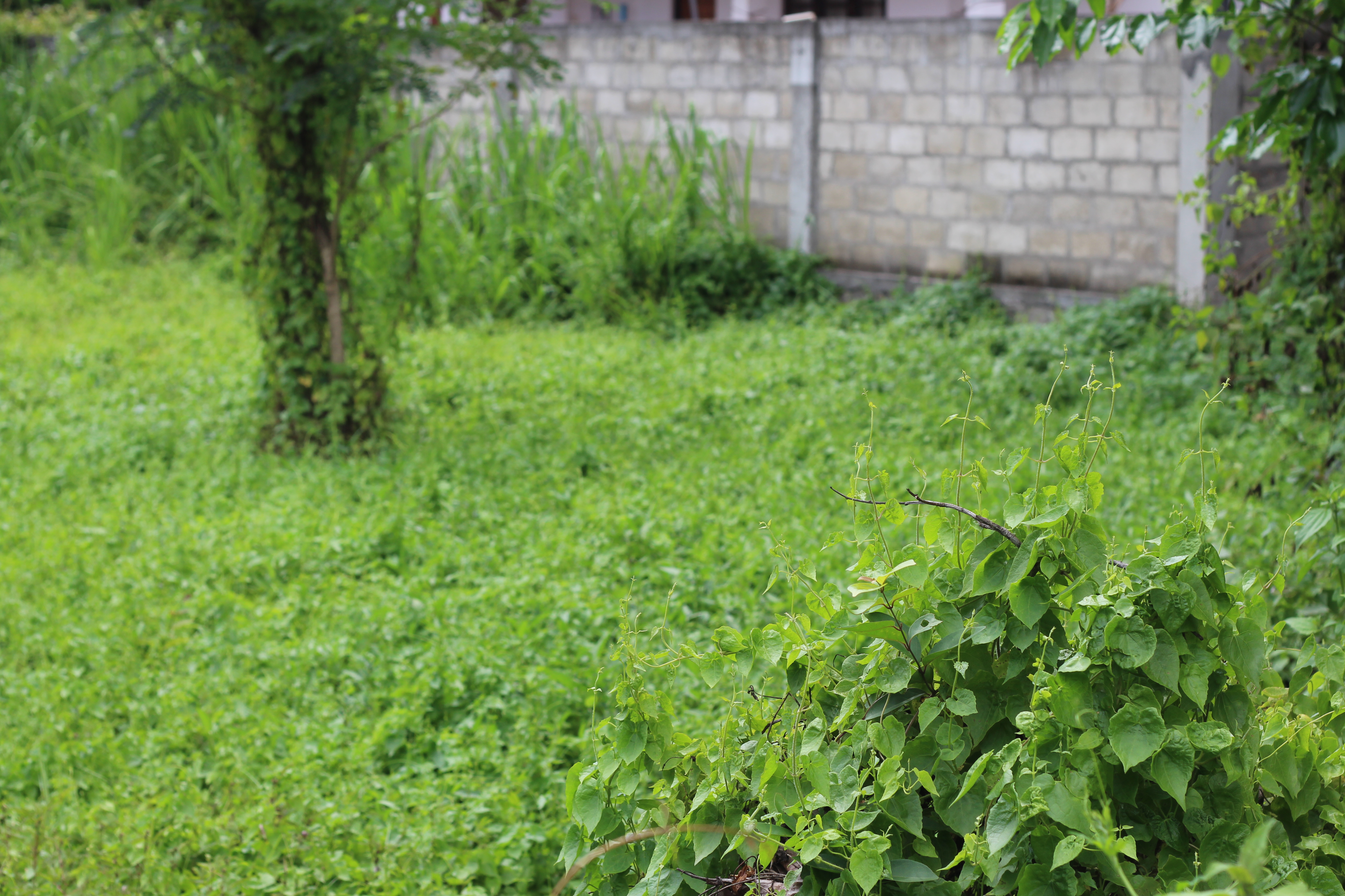 Land Sale in Thirappane