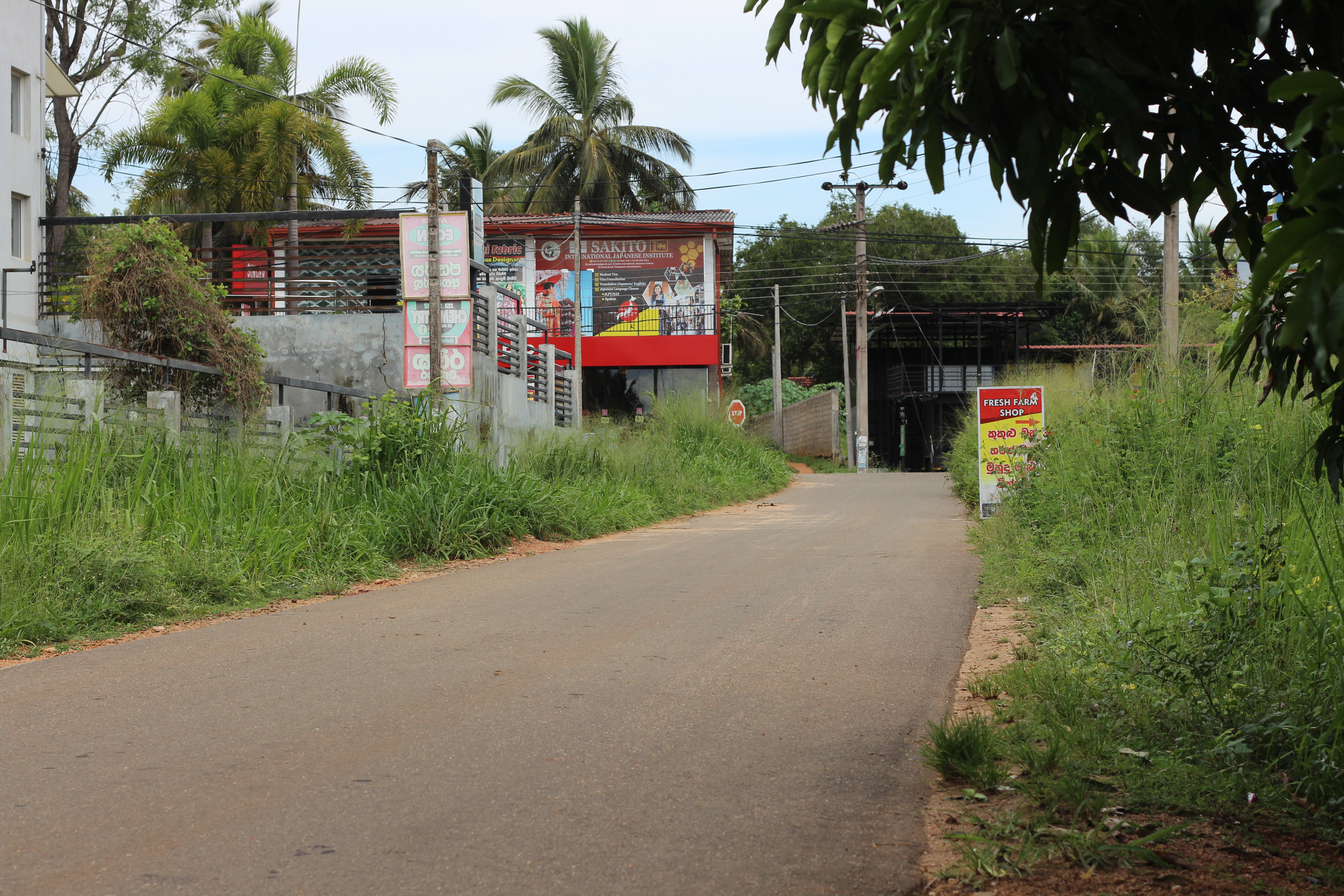 Land Image 2
