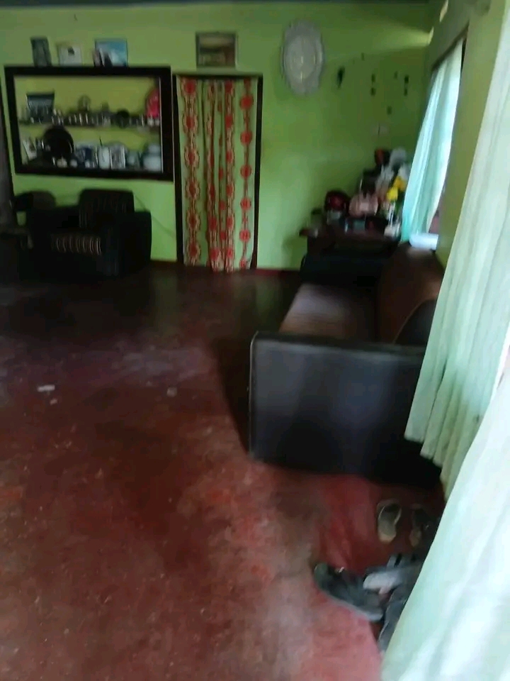 House Image 2