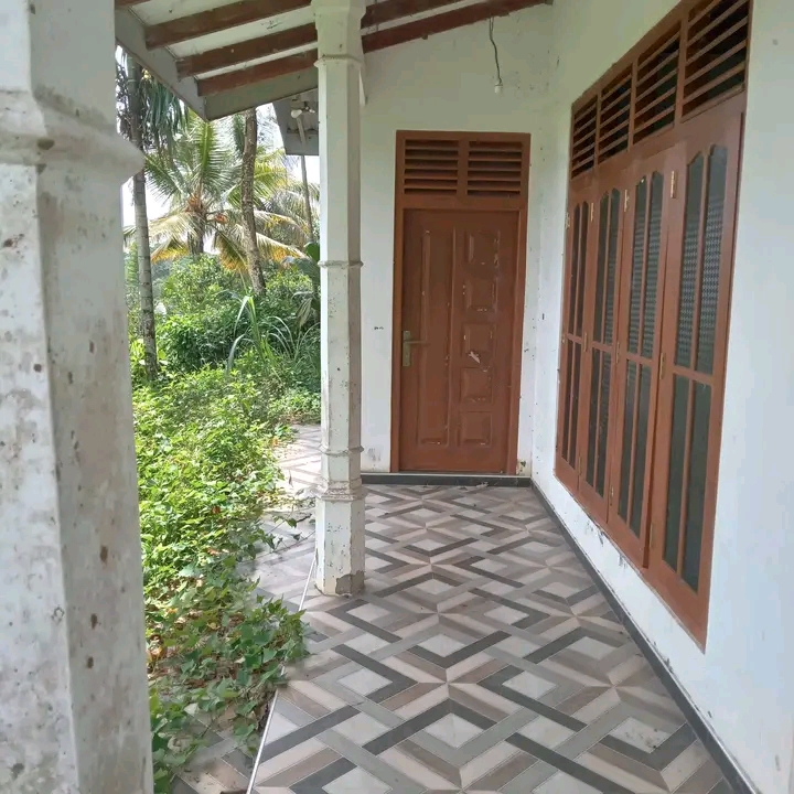 House Image 2