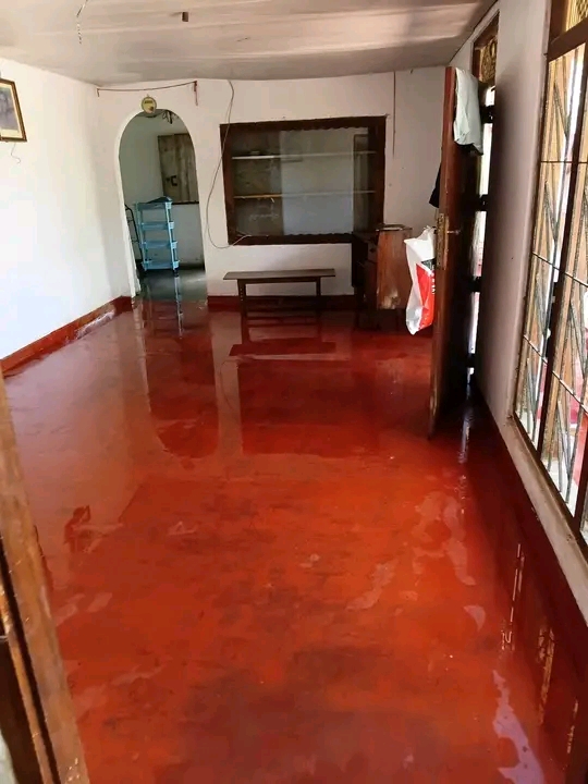 House Image 2