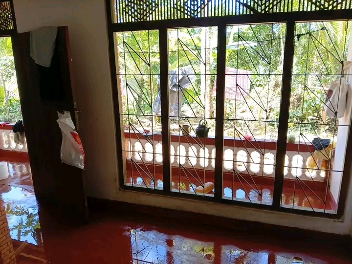 House Image 3