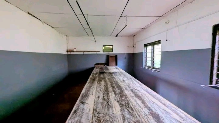 House Image 3