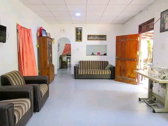 Land Image 2