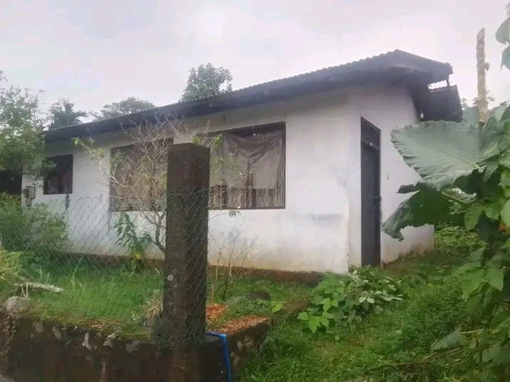House Sale in Meepe