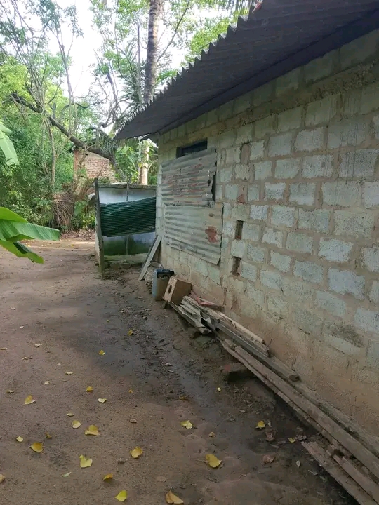 House Image 2