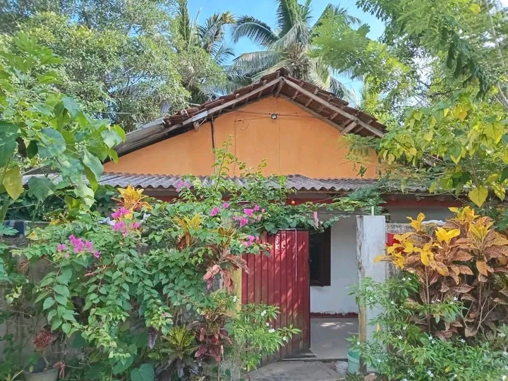 House Sale in Horana