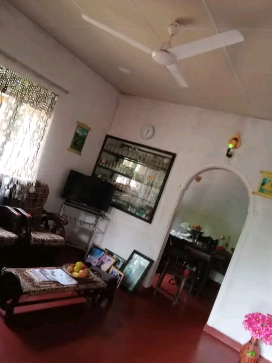 House Image 2
