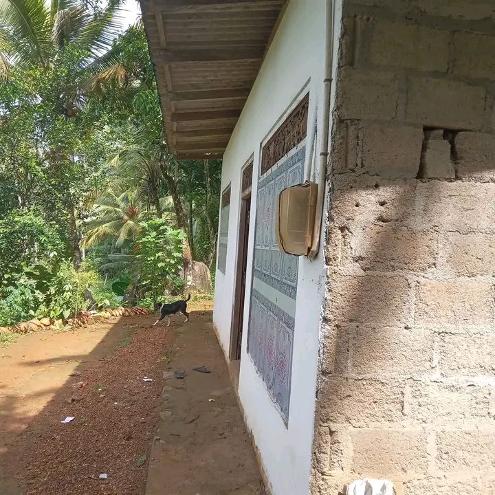 House Sale in Moronthuduwa