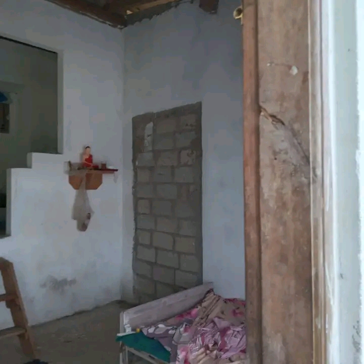 House Image 2