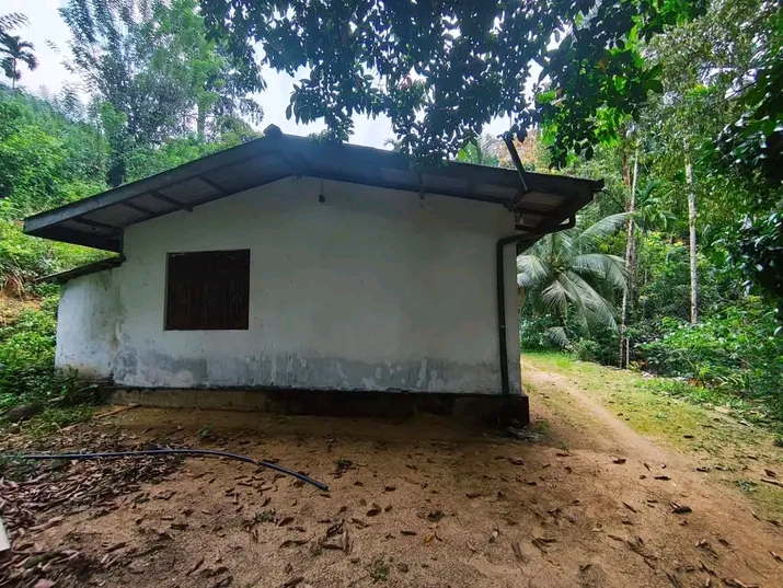 Kithulgala