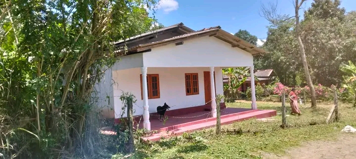 House Sale in Bibila