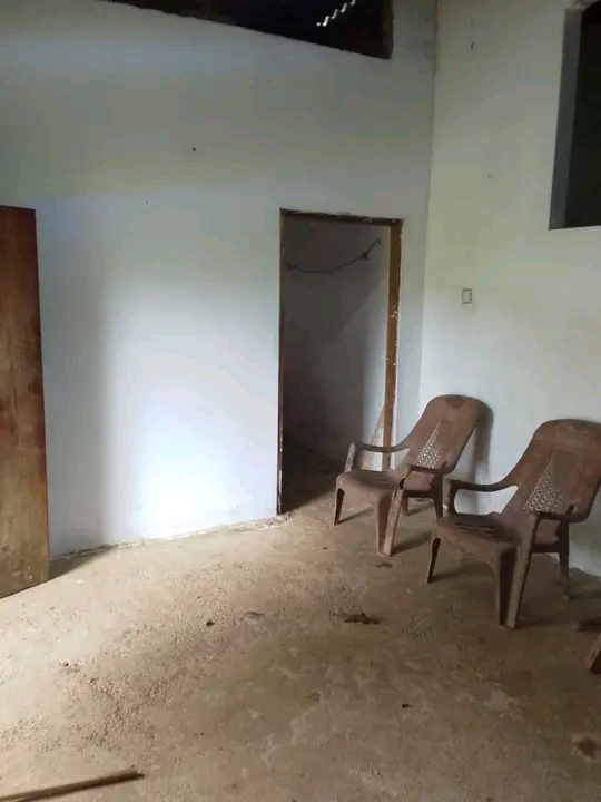 House Image 2