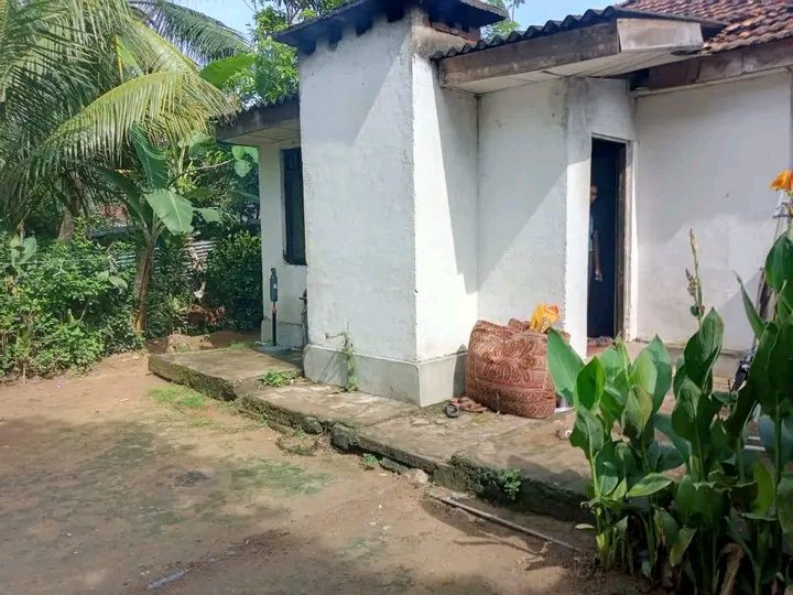 House Image 3