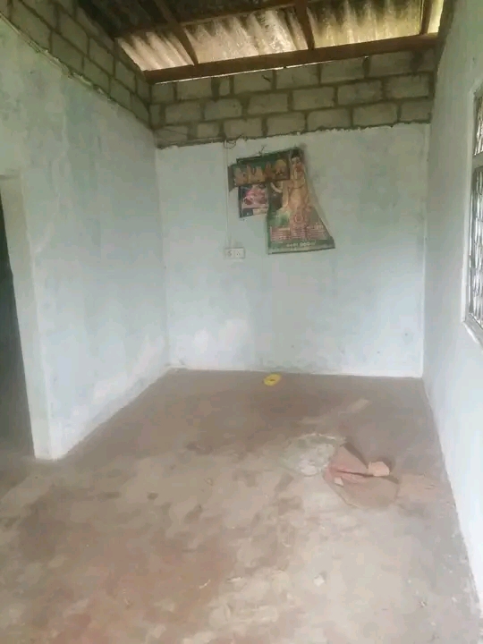 House Image 2