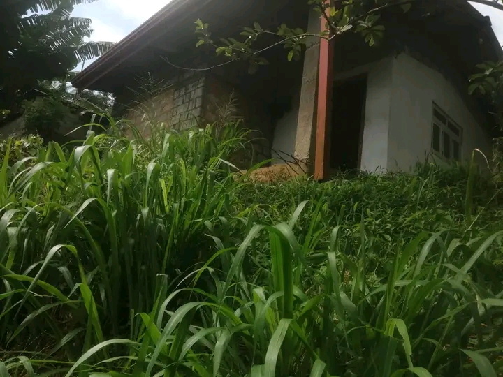 House Image 3