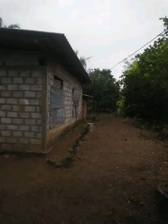 House Image 2