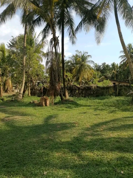 House Image 3