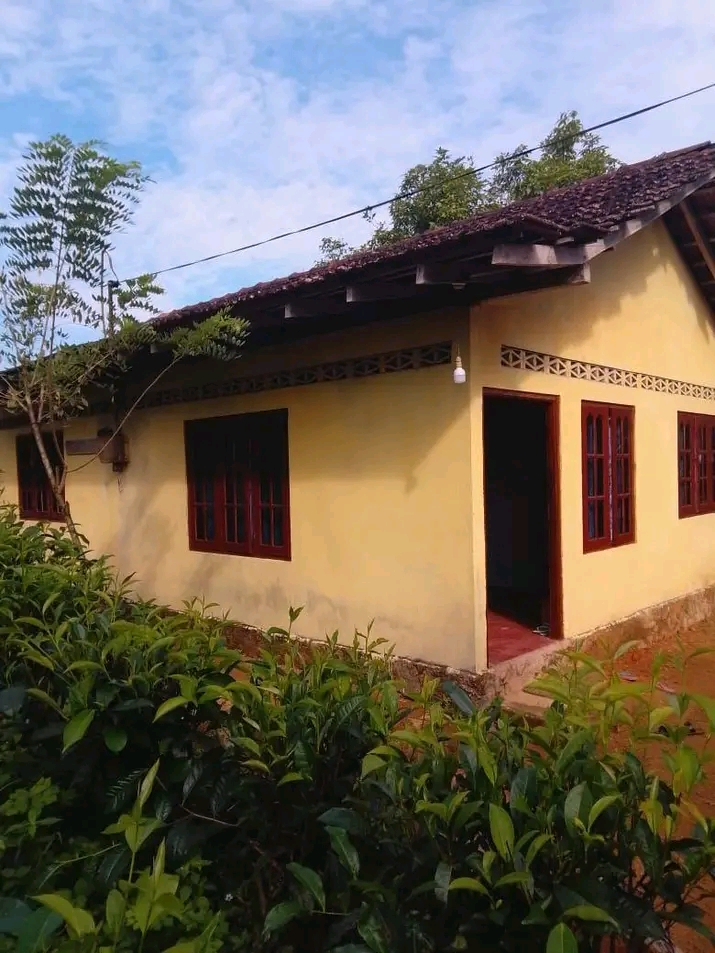 House Image 2