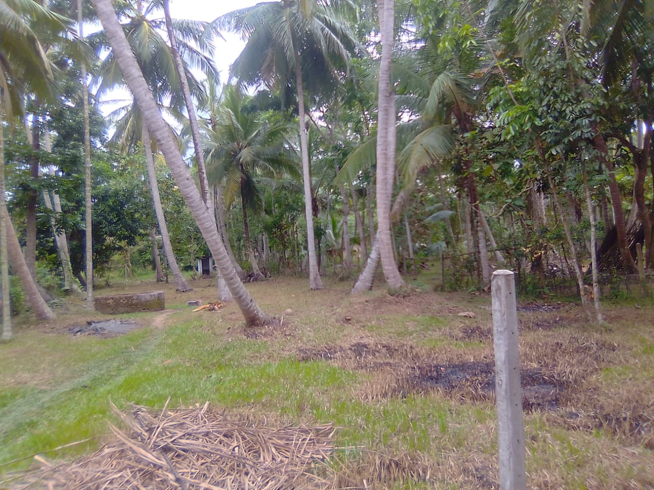 Land Sale in Wariyapola