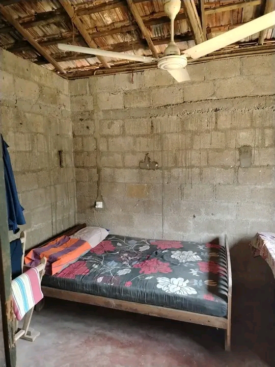 House Image 3